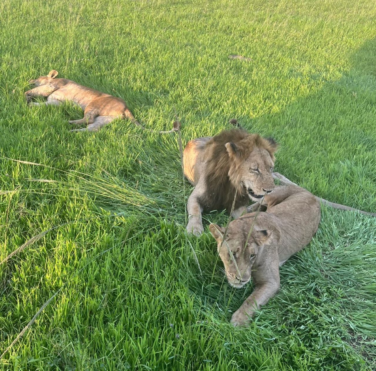 Selous Game Reserve (Nyerere National Park)